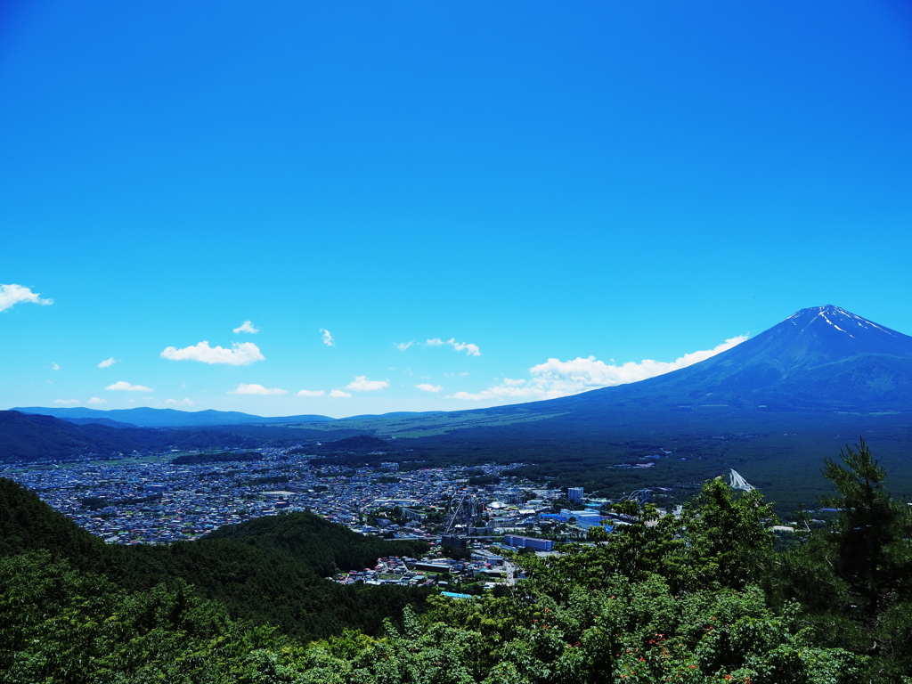 富士山を望む街