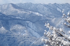 早朝雪山