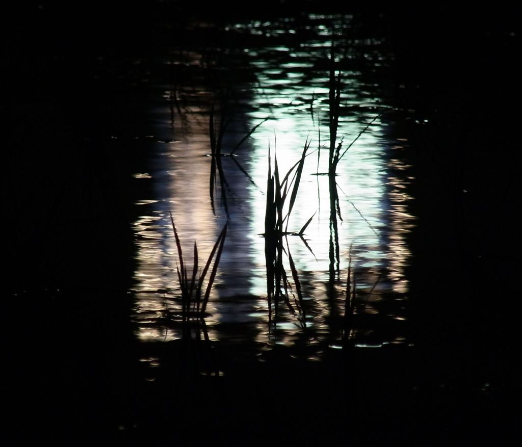 silhouette
