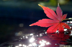 sRIMG0056