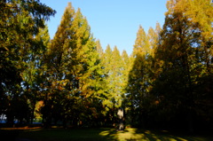 朝の公園