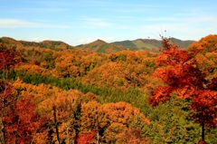 燃える山