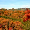 燃える山