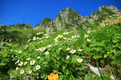 千畳の夏
