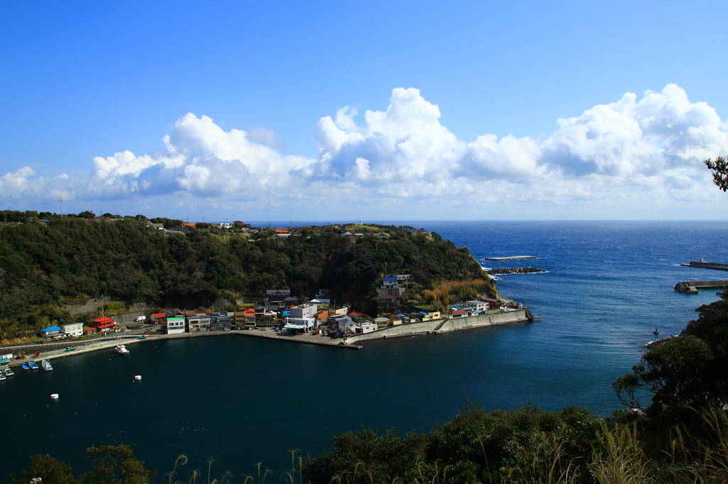 伊豆大島