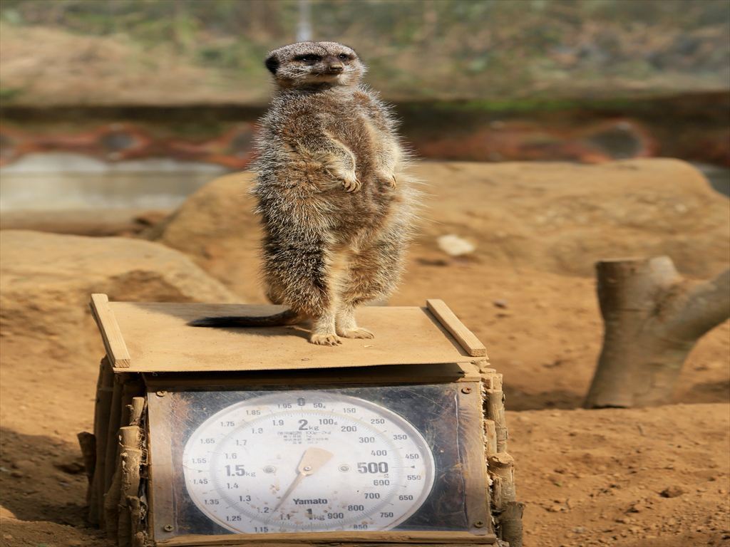 みんな見て＾＾