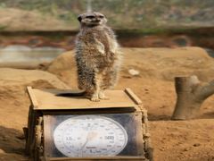 みんな見て＾＾