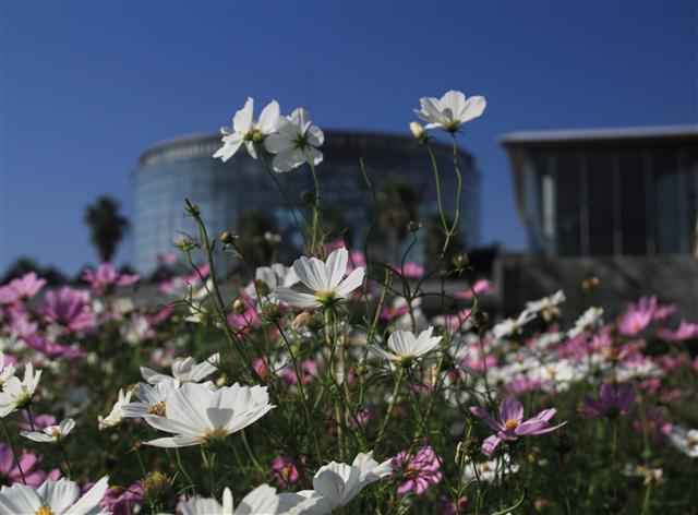 花の美術館