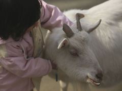 こっち向いて～