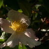 DSCN1652