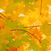 DSCN1038