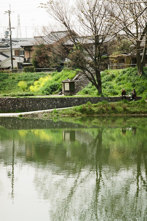 伏見運河の春　kodak400