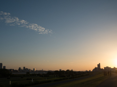 DSCN0606