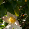 DSCN1641