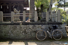 賀集八幡神社