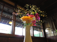 老舗の片隅に咲く一輪の花