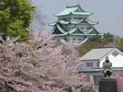 さくら　名古屋城