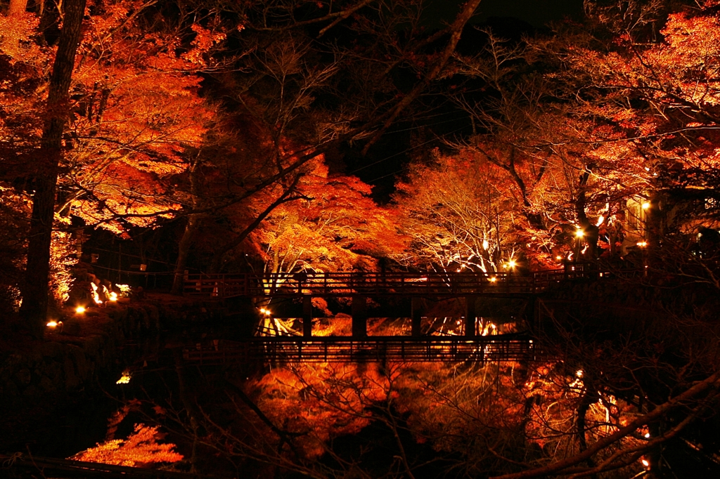 紅葉　岩屋堂公園6