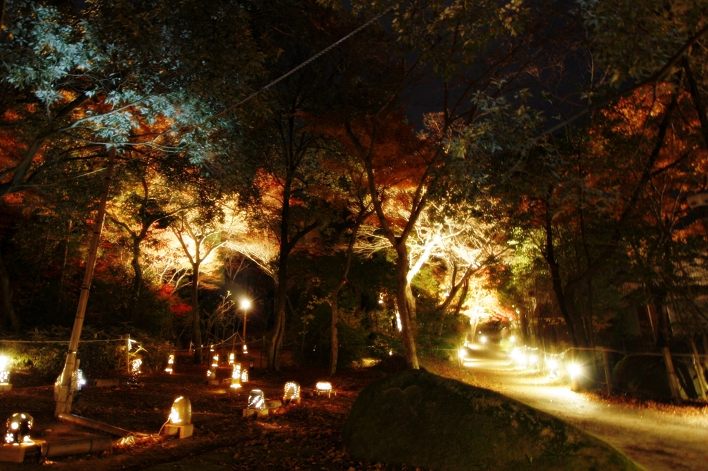 紅葉　岩屋堂公園1