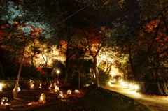 紅葉　岩屋堂公園1