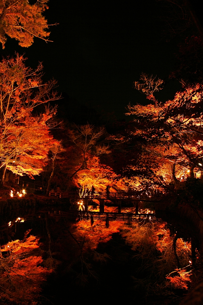 紅葉　岩屋堂公園5　2014年