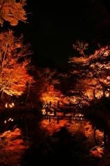 紅葉　岩屋堂公園5　2014年