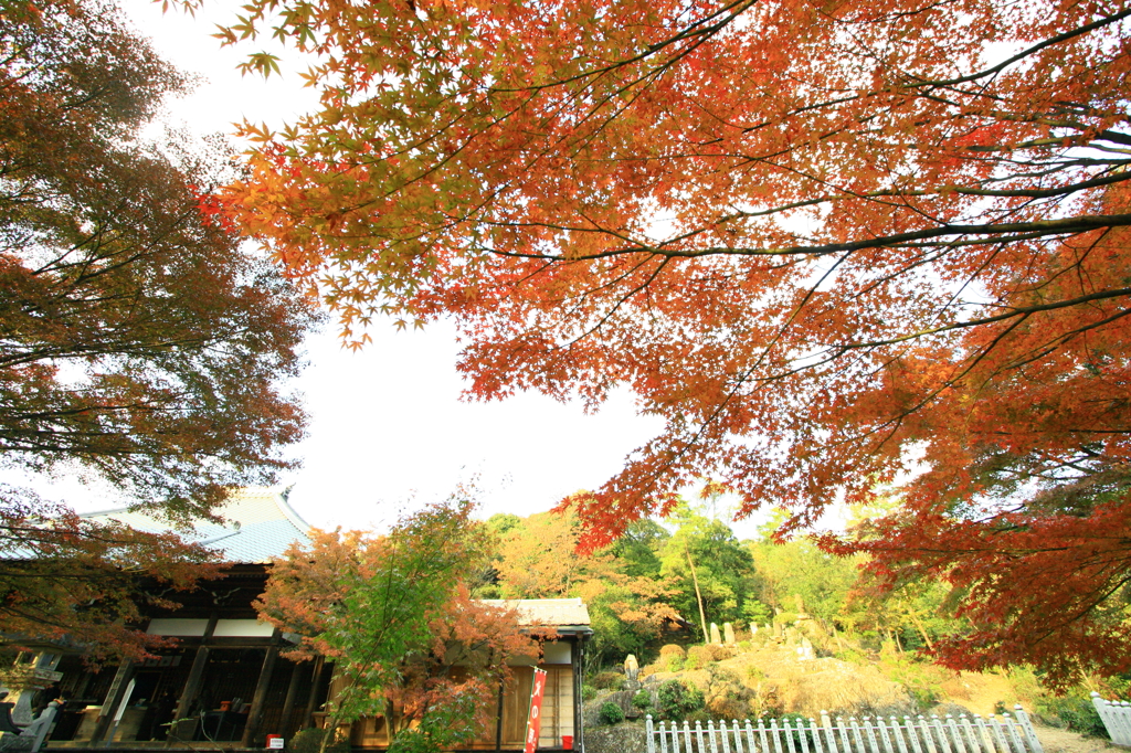 寂光院　少し早めの