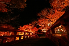 紅葉　岩屋堂公園2