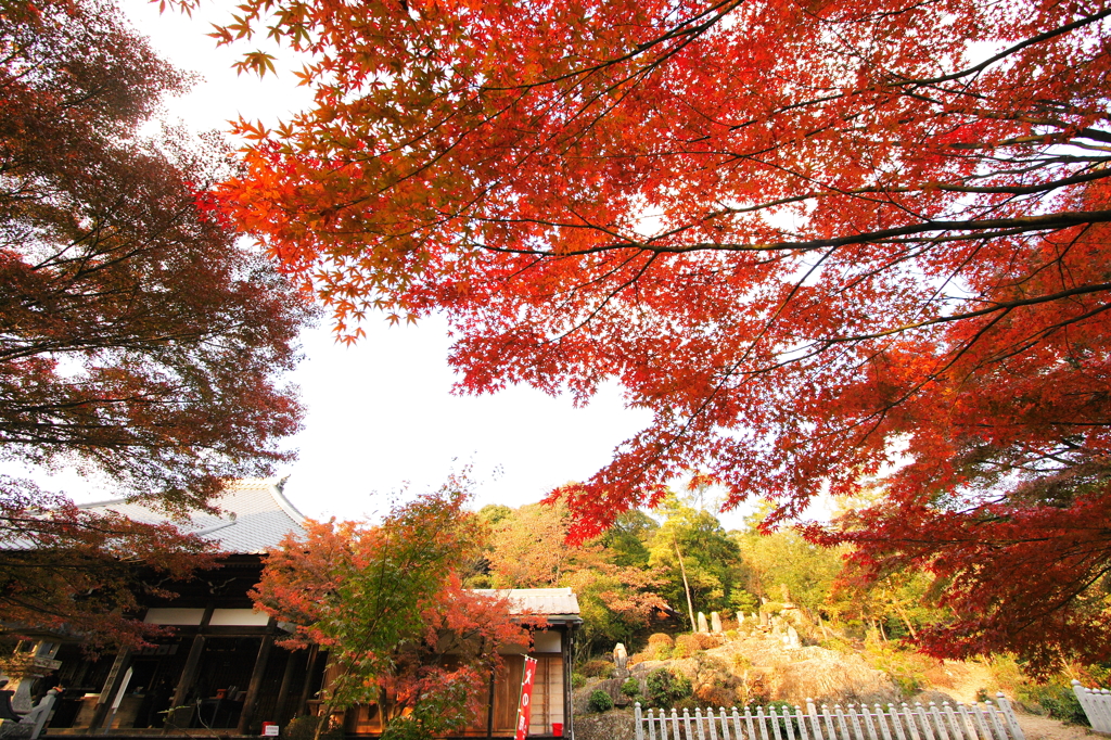 寂光院　少し早めの