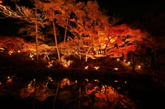 紅葉　岩屋堂公園4