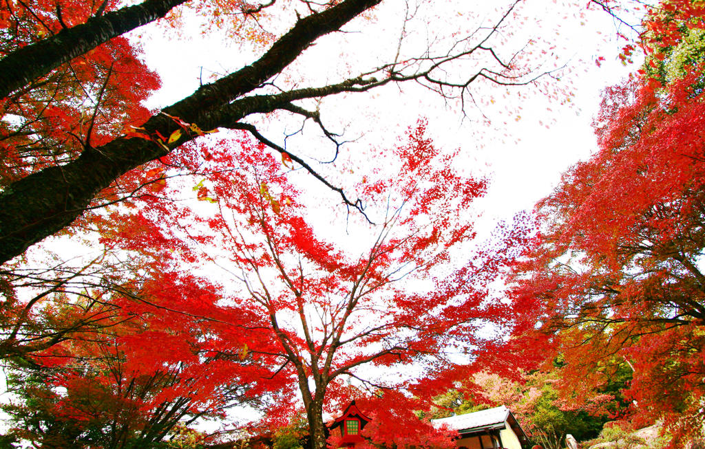 寂光院　少し早めの