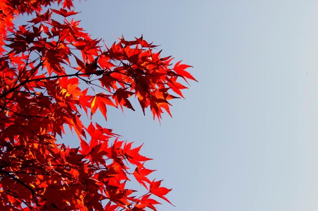 京都＃２