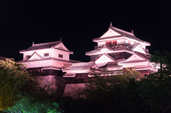 闇夜に浮かぶ松山城