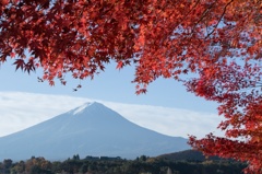富士と紅葉