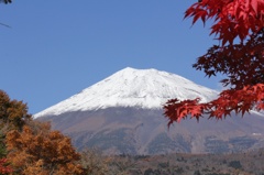 紅葉と富士山