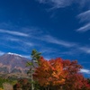 青空に映える紅葉