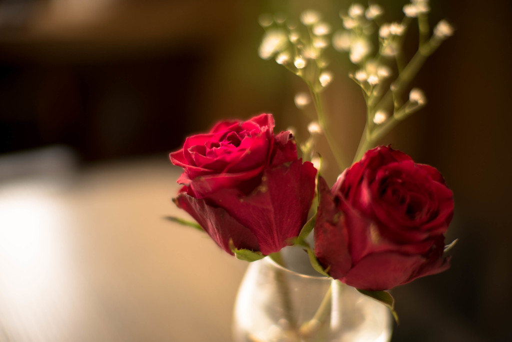 roses