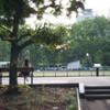 park