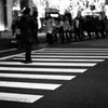 横断歩道