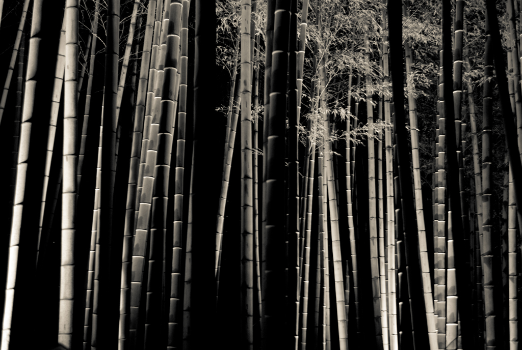 青蓮院