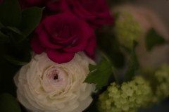 roses