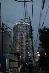 aoyama