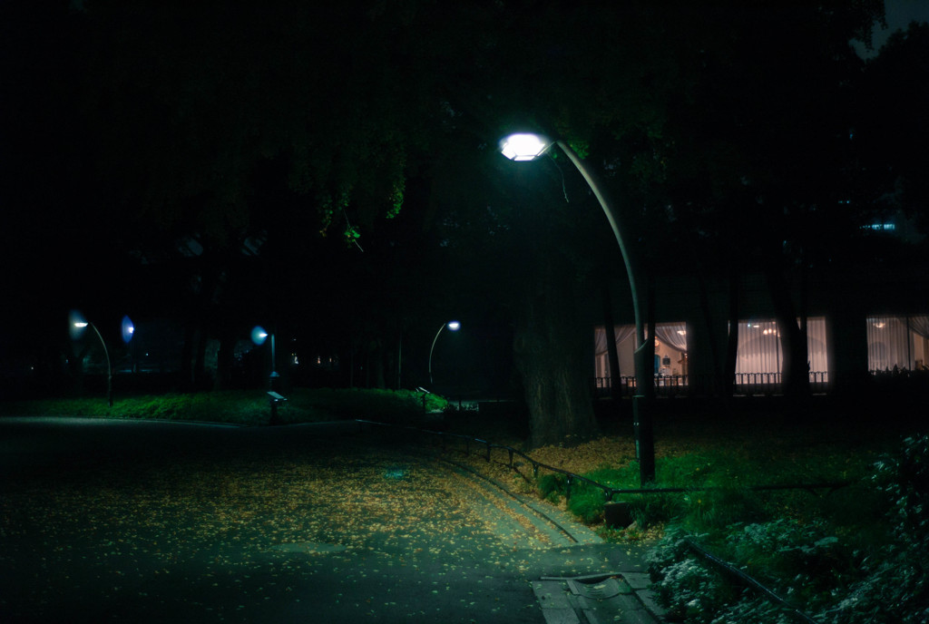 夜の公園