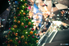 クリスマスツリー