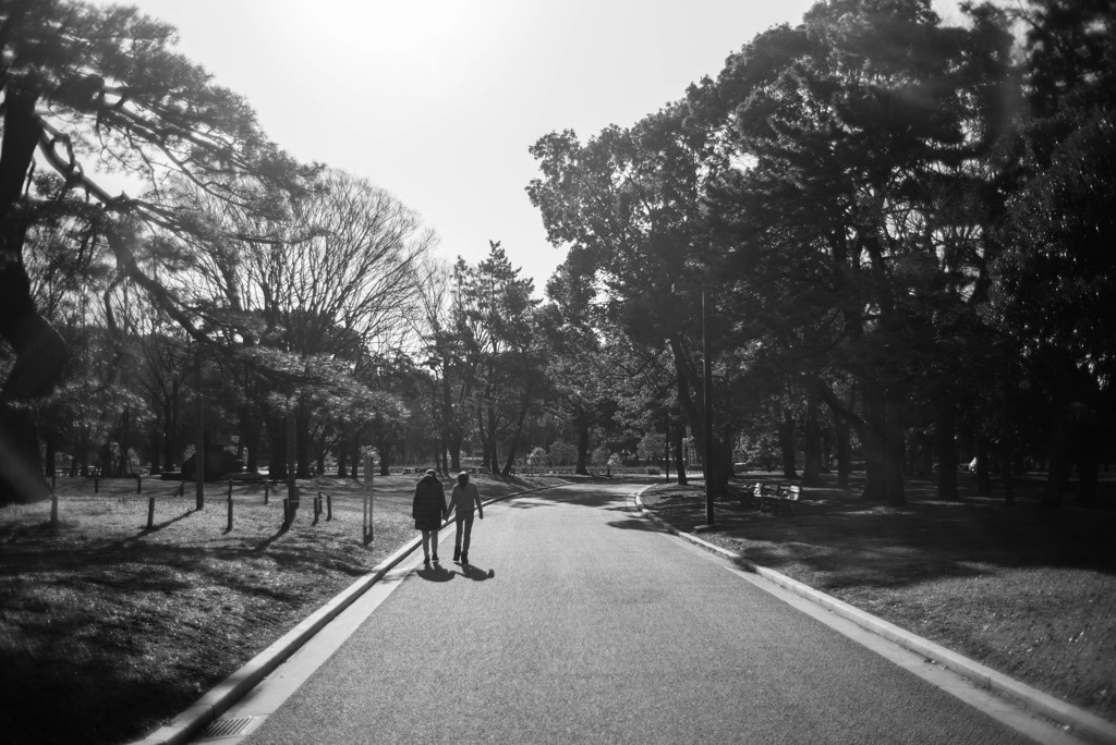 Park