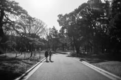 Park