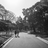 Park