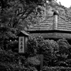 都心の緑