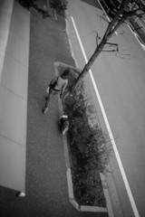 犬の散歩