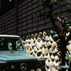 石垣